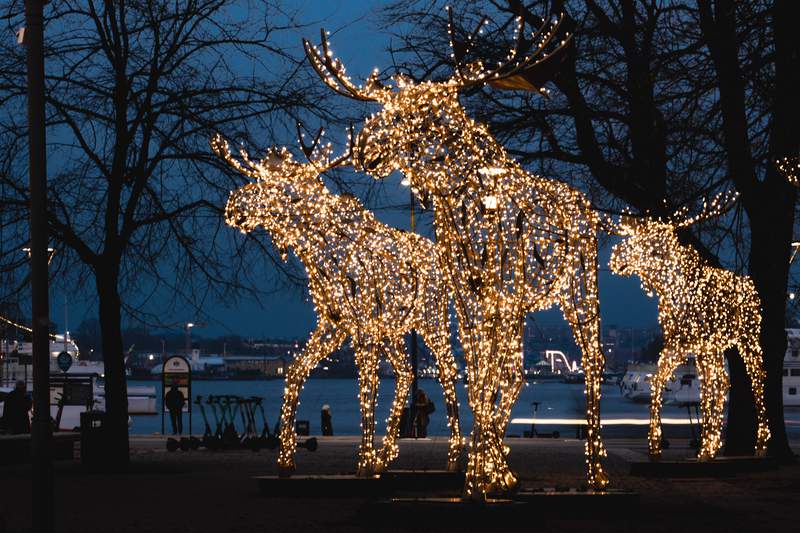 Stockholmsjul Christmas Lights